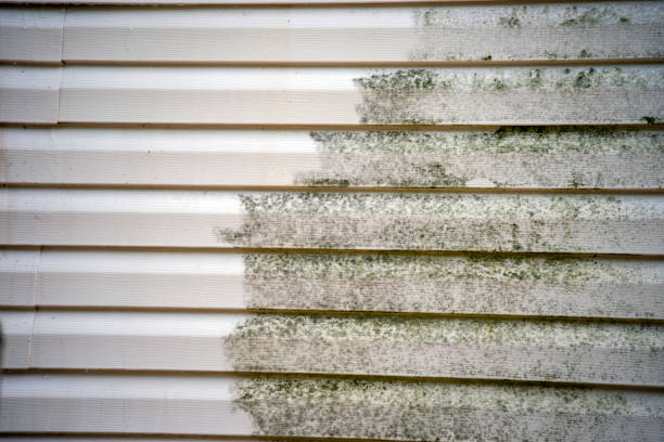 Best Shed Removal  in San Joaquin, CA